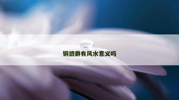 銅貔貅有風(fēng)水意義嗎