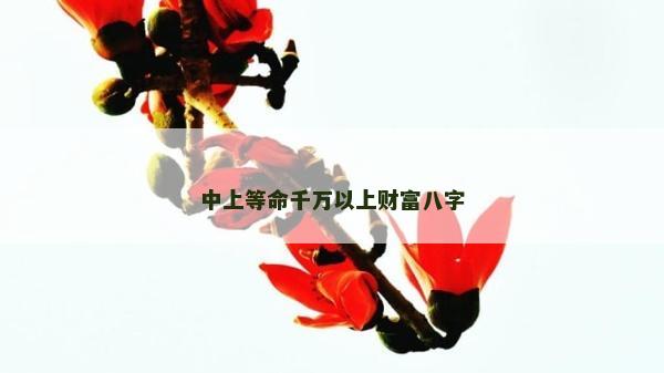 中上等命千萬以上財富八字