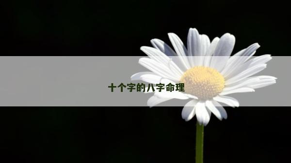十個字的八字命理