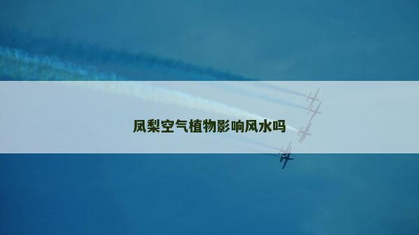 鳳梨空氣植物影響風水嗎 鳳梨空氣植物影響風水嗎