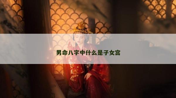 男命八字中什么是子女宮