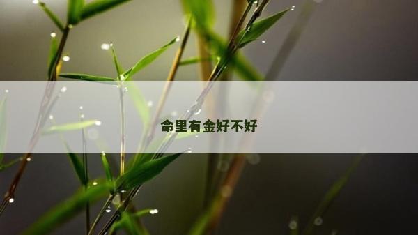 命里有金好不好