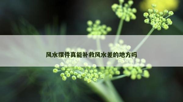 風水擺件真能補救風水差的地方嗎