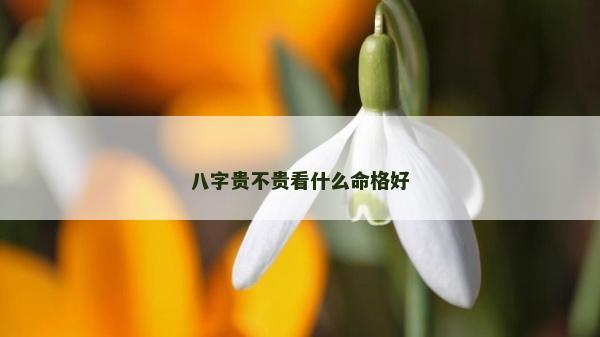 八字貴不貴看什么命格好