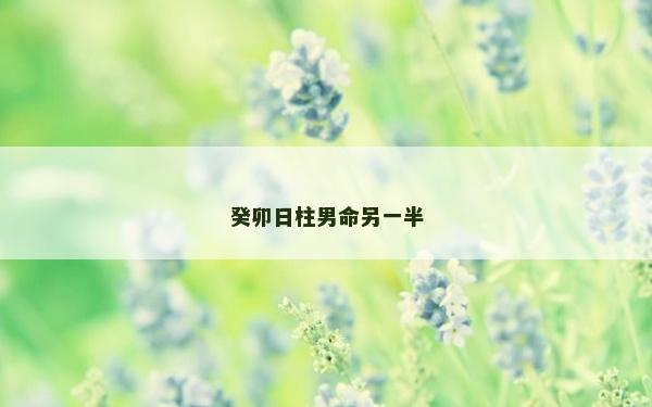 癸卯日柱男命另一半 癸卯日柱男命另一半