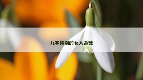 八字純陰的女人命硬
