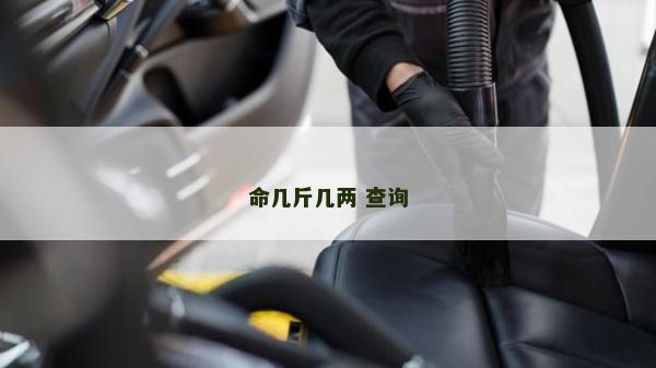 命幾斤幾兩 查詢