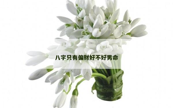 八字只有偏財好不好男命