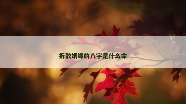 拆散姻緣的八字是什么命