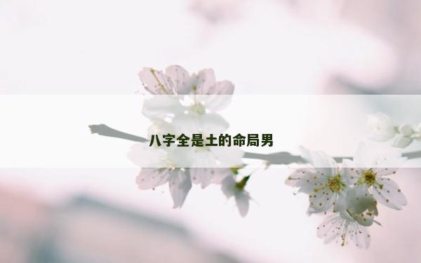 八字全是土的命局男