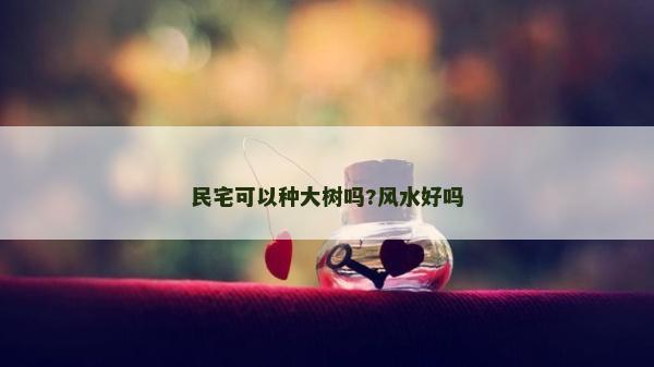 民宅可以種大樹嗎?風水好嗎