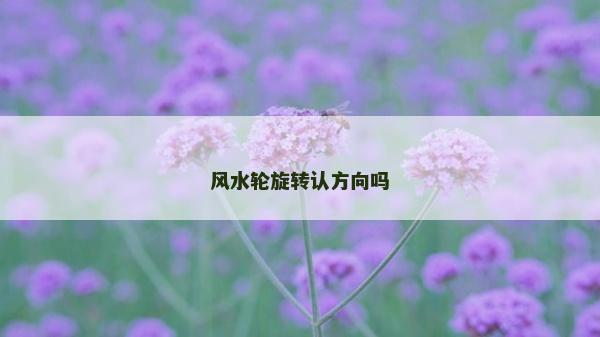 風水輪旋轉認方向嗎