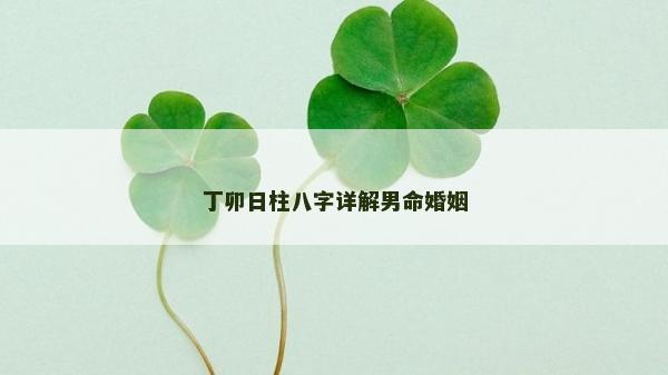 丁卯日柱八字詳解男命婚姻