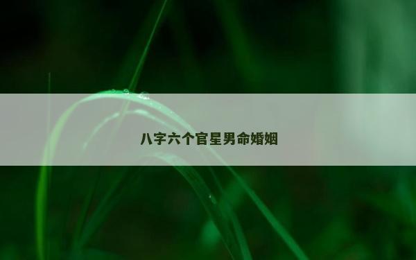 八字六個官星男命婚姻