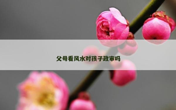 父母看風水對孩子政審嗎
