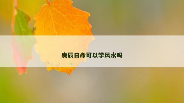 庚辰日命可以學風水嗎