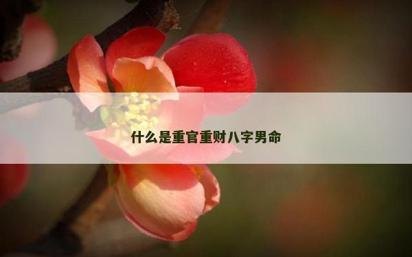什么是重官重財八字男命