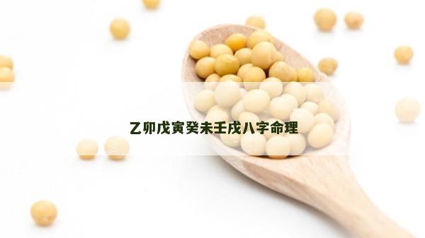 乙卯戊寅癸未壬戌八字命理