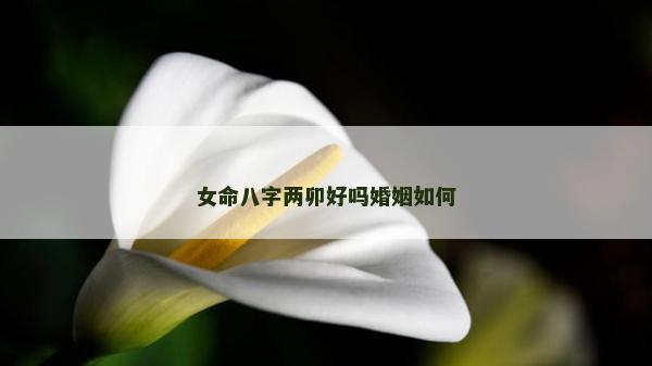 女命八字兩卯好嗎婚姻如何