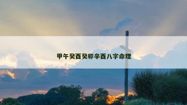 甲午癸酉癸卯辛酉八字命理