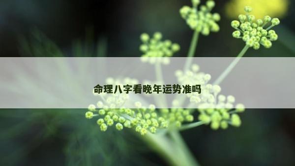 命理八字看晚年運勢準嗎
