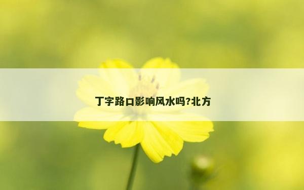 丁字路口影響風(fēng)水嗎?北方 丁字路口影響風(fēng)水嗎?北方