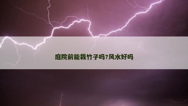 庭院前能栽竹子嗎?風(fēng)水好嗎