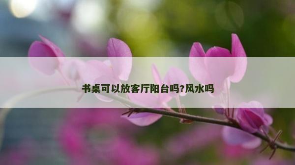 書桌可以放客廳陽臺(tái)嗎?風(fēng)水嗎