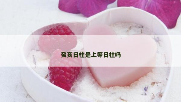 癸亥日柱是上等日柱嗎