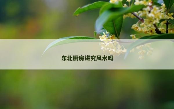 東北廚房講究風水嗎