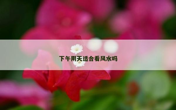 下午陰天適合看風水嗎