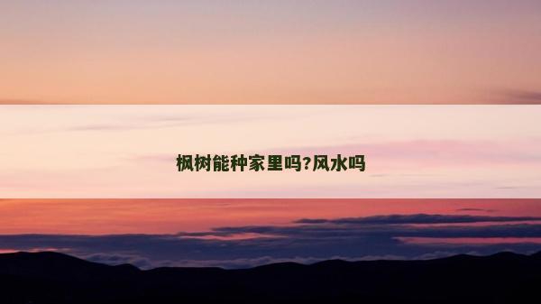 楓樹能種家里嗎?風水嗎