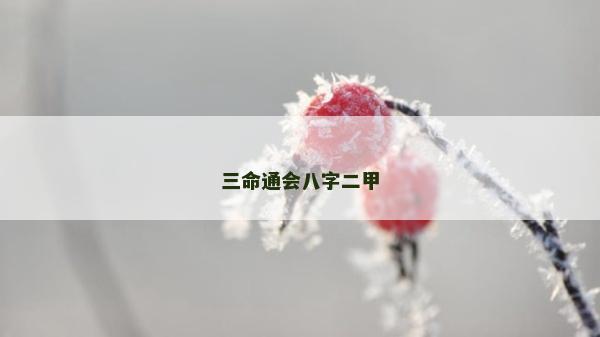 三命通會八字二甲