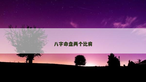 八字命盤兩個比肩