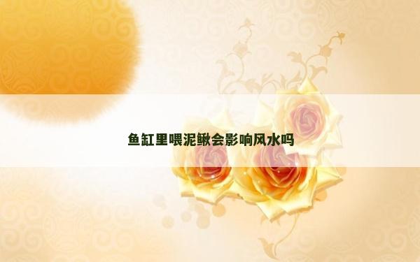 魚缸里喂泥鰍會影響風(fēng)水嗎