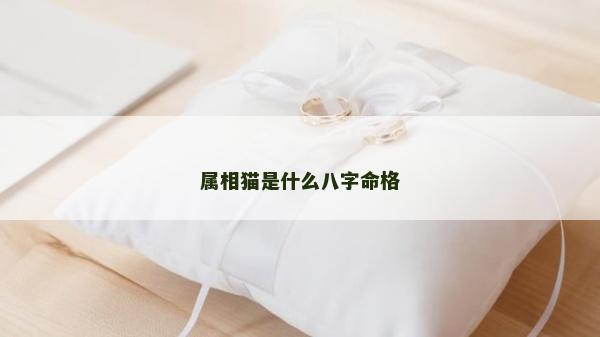 屬相貓是什么八字命格 屬相貓是什么八字命格