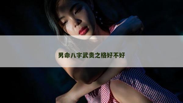 男命八字武貴之格好不好