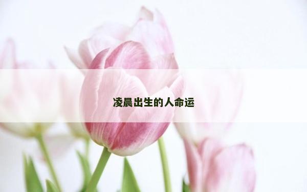 凌晨出生的人命運