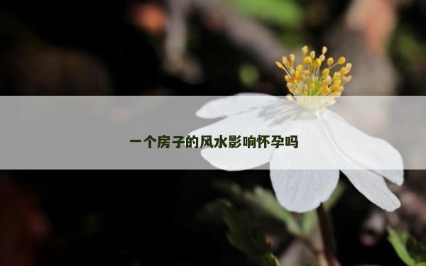 一個房子的風水影響懷孕嗎