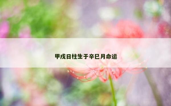甲戌日柱生于辛巳月命運