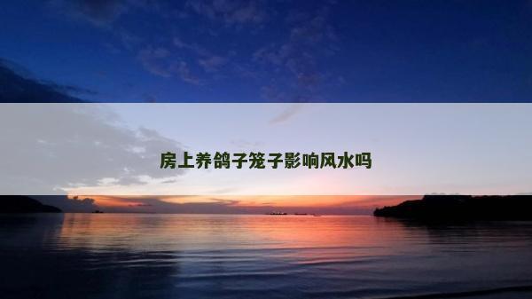 房上養鴿子籠子影響風水嗎