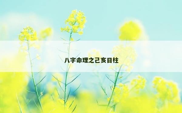 八字命理之己亥日柱 八字命理之己亥日柱