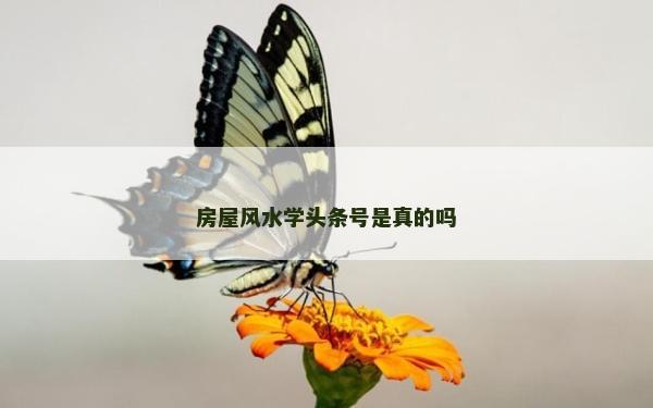 房屋風水學頭條號是真的嗎