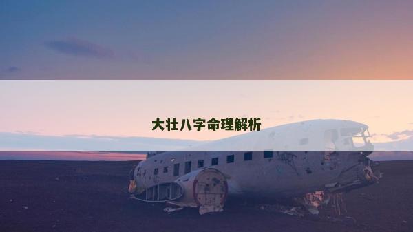 大壯八字命理解析