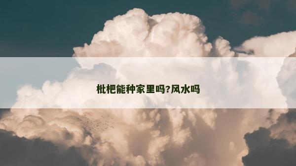 枇杷能種家里嗎?風水嗎
