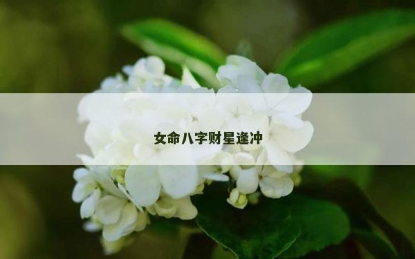 女命八字財星逢沖