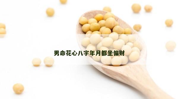 男命花心八字年月都坐偏財