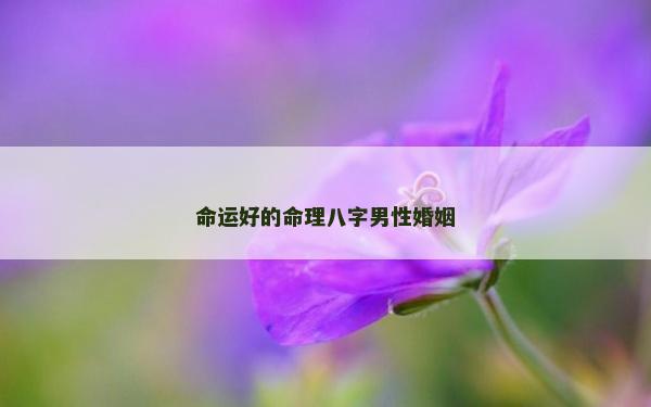 命運好的命理八字男性婚姻
