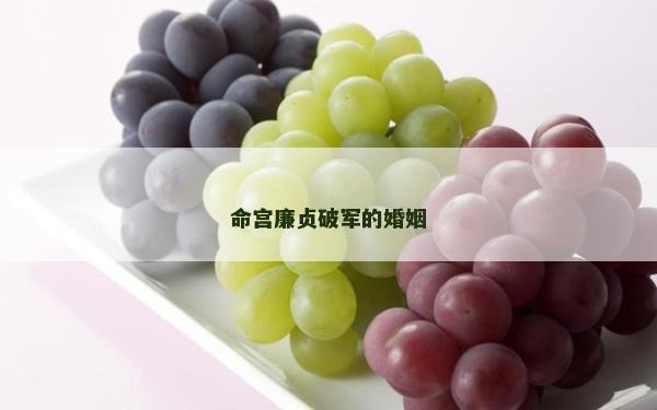 命宮廉貞破軍的婚姻
