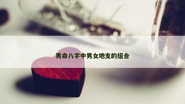 男命八字中男女地支的組合
